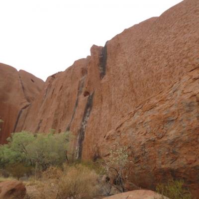 Uluru 146